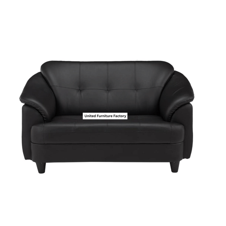 Fiona Leatherette | 2 Seater Sofa in Eerie Black